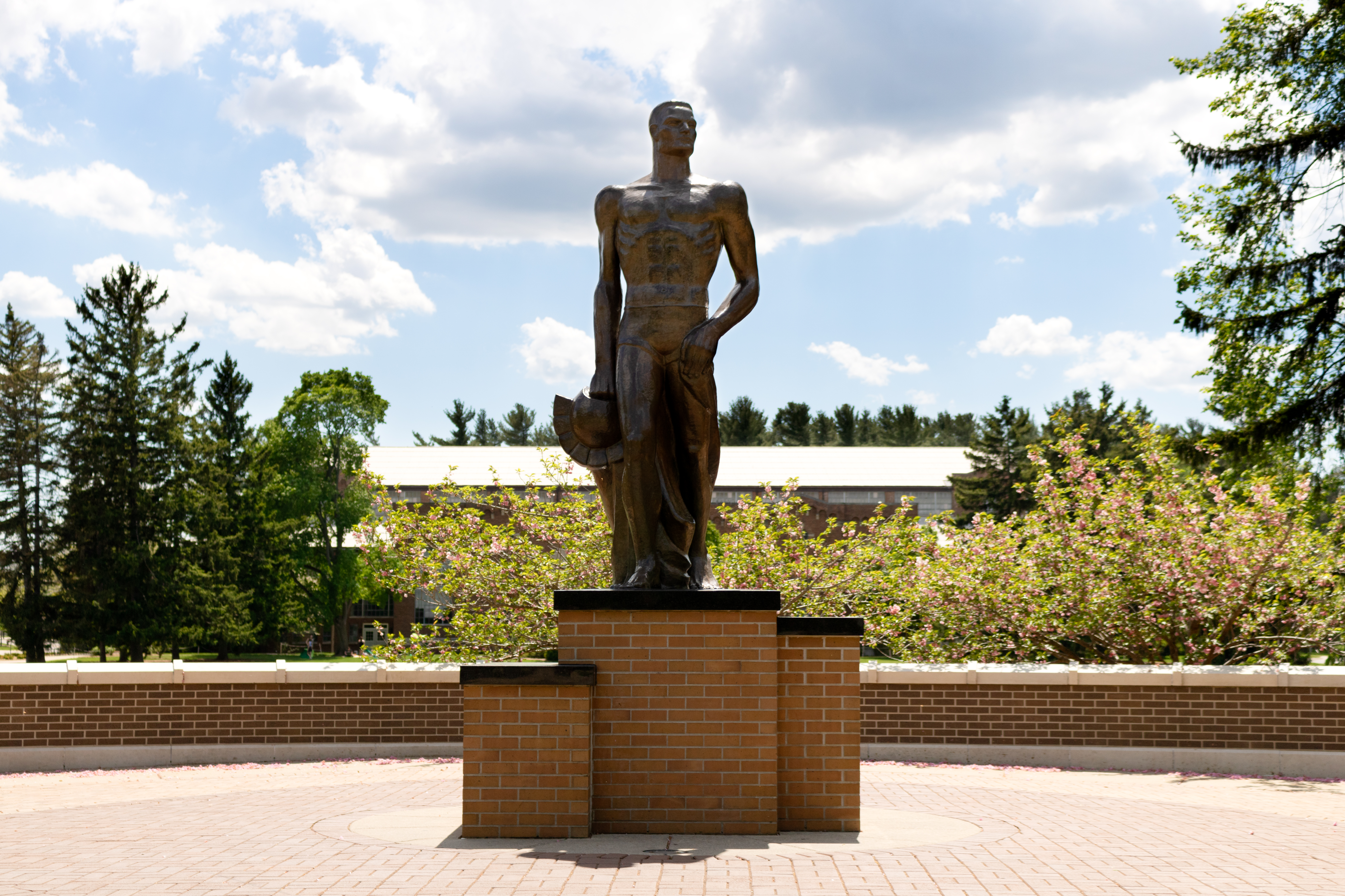 The Spartan Statue stands valiantly on a spring day with campus in the background, blooming shrubs and a blue sky dotted with fluffy clouds