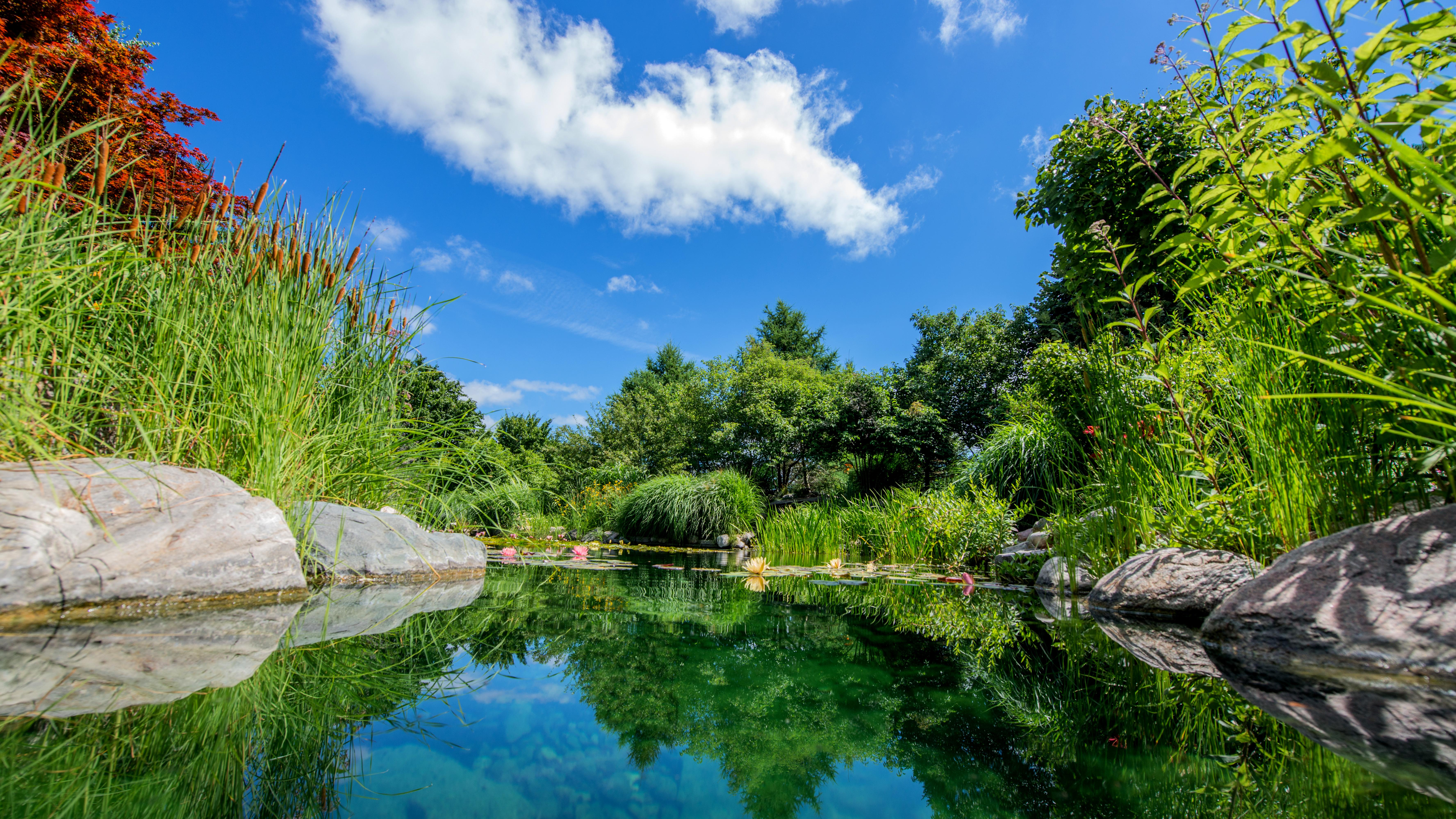 Photograph of garden water