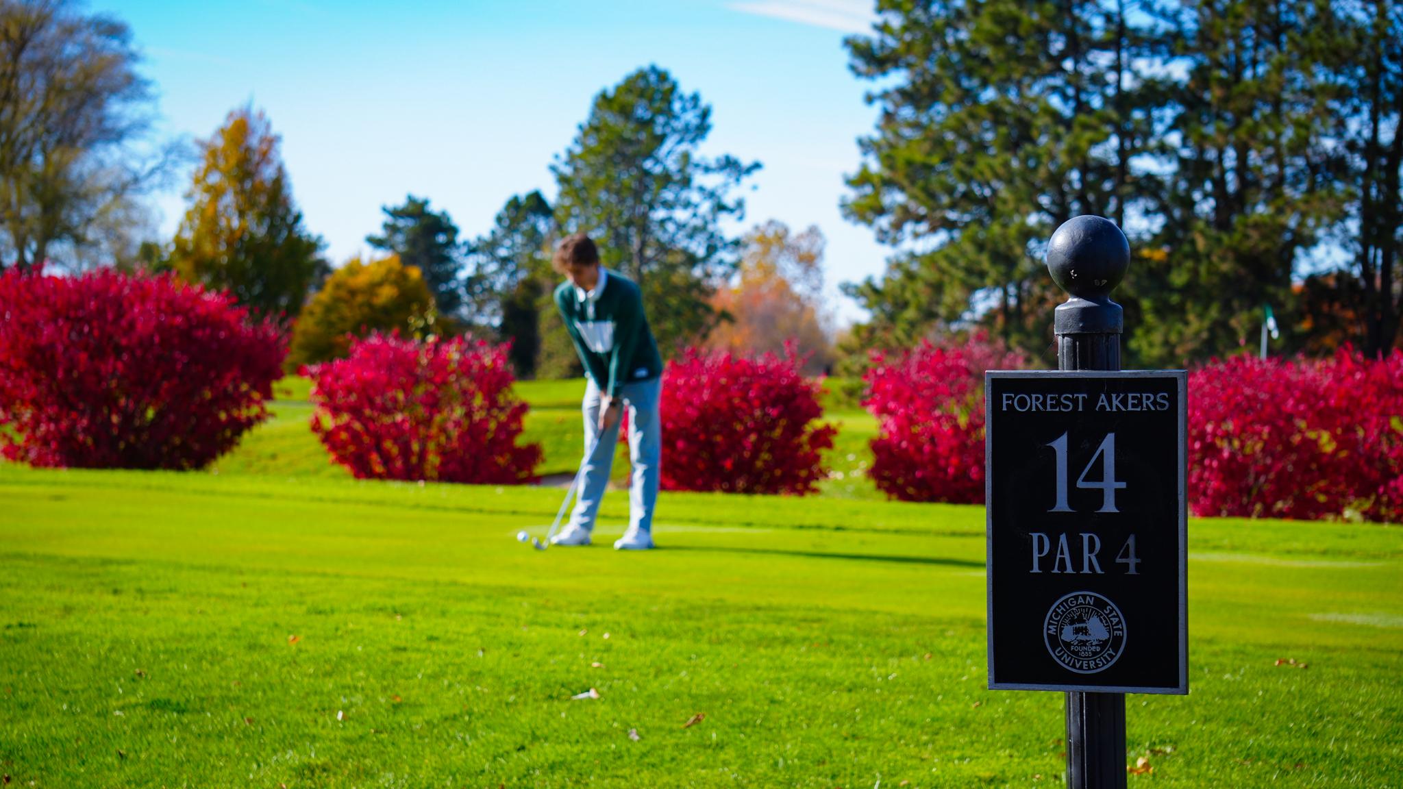 A golfer prepares to putt on a green at Forest Akers Golf Course at Michigan State University, with a sign marking hole 14, par 4, and fall trees in the background.