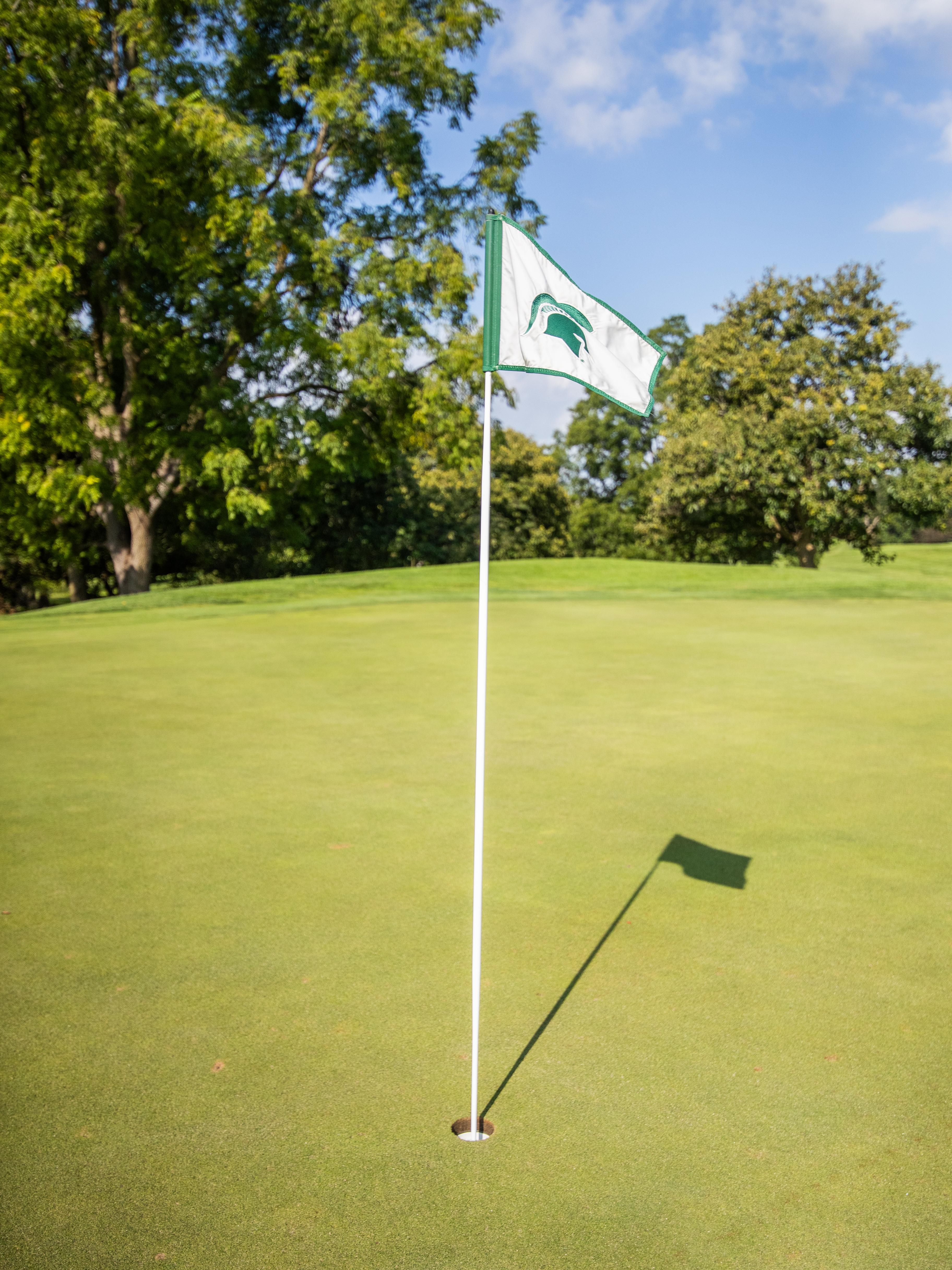 Golf hole with Spartan flag